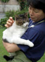 【宮城】“母”を訪ねて… ネコ、はるばる10キロ